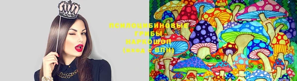 крисы Армянск