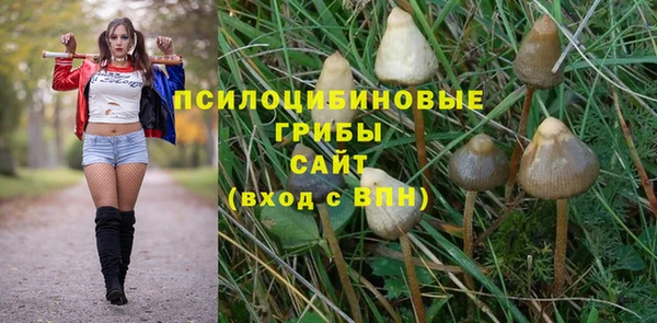 крисы Армянск