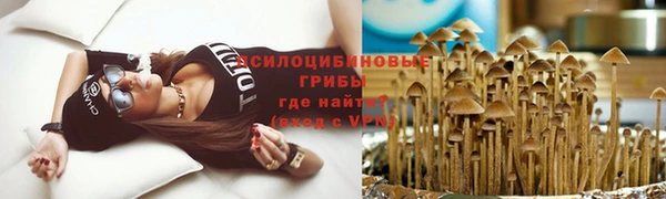 прущий лед Арсеньев