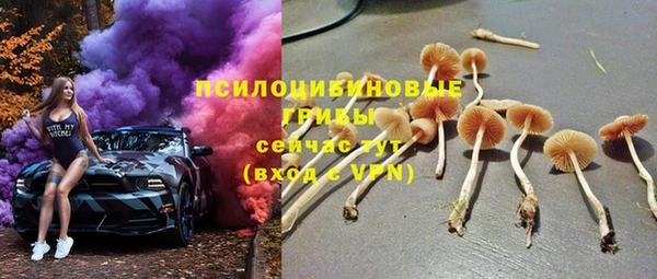прущий лед Арсеньев